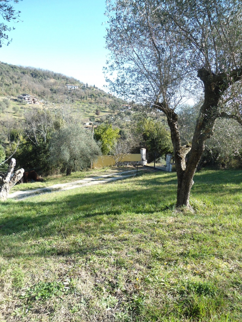 Villa FIANO ROMANO vendita   Via Val Casale COLLEONI CASE SRLS