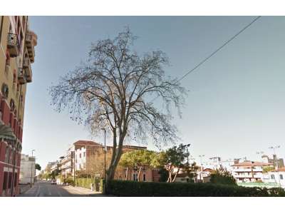  venezia vendita quart: lido centro immobiliare marengo sas