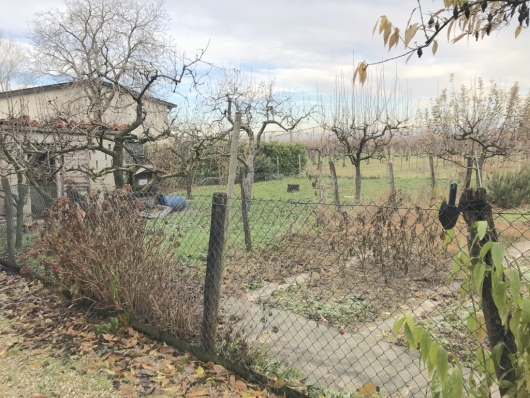 Villa Affiancata - Schiera PONTE DI PIAVE vendita    SPAZIOCASA servizi immobiliari di Arnoldo Geom. Monica