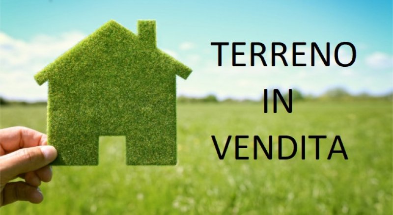  torino vendita quart: barriera milano yucca-snc-cercocasa