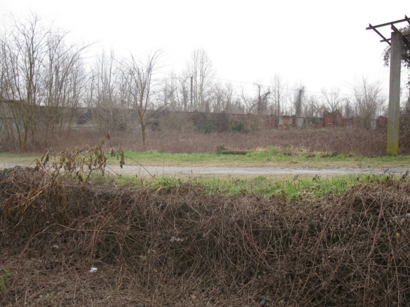 Terreno MILANO vendita    Yucca snc CERCOCASA