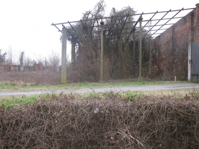 Terreno MILANO vendita    Yucca snc CERCOCASA