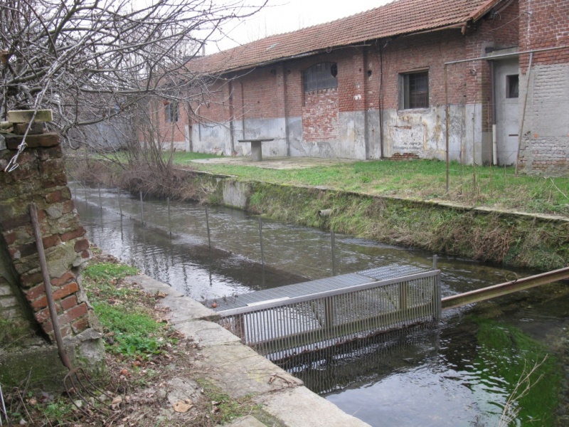 Terreno MILANO vendita    Yucca snc CERCOCASA